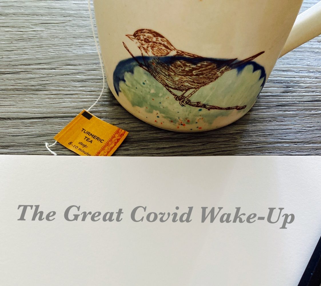 Confession: The Covid Awakening